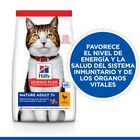 Hill's Science Plan Mature Adult 7+ Pollo pienso para gatos, , large image number null